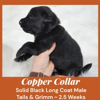 processed/4f22aa8b-00fc-40ba-b8a5-38cc6ddbb986/listing/b742d028-9314-4d14-9434-d4937027fc4f/b68a21b1-8c06-44de-b093-769bcc0cc2c1