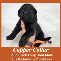 processed/4f22aa8b-00fc-40ba-b8a5-38cc6ddbb986/listing/b742d028-9314-4d14-9434-d4937027fc4f/cc576c4f-7e9c-4865-ab67-f373ec915c77