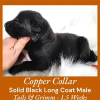 processed/4f22aa8b-00fc-40ba-b8a5-38cc6ddbb986/listing/b742d028-9314-4d14-9434-d4937027fc4f/ebbe73e2-ca51-4086-9013-fefdd8402745