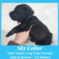 processed/4f22aa8b-00fc-40ba-b8a5-38cc6ddbb986/listing/edce9c1a-541e-445d-ae19-3c9c3e2e63d8/696ae25e-08d0-4c3d-a1cf-2808bd3d29c9