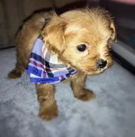 processed/4f242826-51c5-417a-ba09-3cdb55c3cf2f/facility/14171b77-0067-490d-a98b-367fb3b10e41