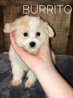 processed/4f242826-51c5-417a-ba09-3cdb55c3cf2f/facility/2b962ac2-c16a-4736-bb43-657d504f6a02