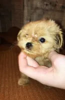 processed/4f242826-51c5-417a-ba09-3cdb55c3cf2f/facility/535761bf-d4ca-435f-811d-15242c0db629