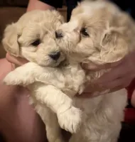 processed/4f242826-51c5-417a-ba09-3cdb55c3cf2f/facility/679ff626-fa68-4f8e-a1b5-ab9c6fcfcbd1