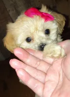 processed/4f242826-51c5-417a-ba09-3cdb55c3cf2f/facility/a91f12e2-5c96-4dee-9a92-e53e95adec4f