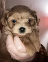 processed/4f242826-51c5-417a-ba09-3cdb55c3cf2f/facility/f0c397b6-1036-4fbd-8d43-8ad024d51e0e