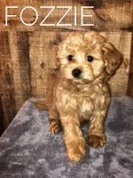 processed/4f242826-51c5-417a-ba09-3cdb55c3cf2f/facility/f2be3e6c-6ef2-4bf1-b2ea-f58e5d2a4792