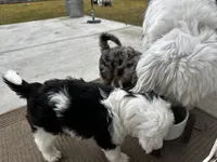 processed/4f24ab80-8a1a-4a92-9de7-4523c56622d8/listing/203bb0c5-43f8-490b-9984-536056d5a8ea/03f75660-aa99-4ae9-b18a-f8a0a4b87f83