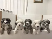 processed/4f24ab80-8a1a-4a92-9de7-4523c56622d8/listing/203bb0c5-43f8-490b-9984-536056d5a8ea/9fc3782c-b1eb-4e79-80c2-841425dd68aa