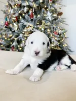 processed/4f24ab80-8a1a-4a92-9de7-4523c56622d8/listing/203bb0c5-43f8-490b-9984-536056d5a8ea/a8af7051-c915-451e-9b83-4ee9c198e5e6