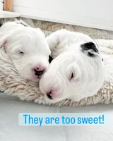 processed/4f24ab80-8a1a-4a92-9de7-4523c56622d8/listing/203bb0c5-43f8-490b-9984-536056d5a8ea/b46529cc-ef85-468a-b9a4-7732ab136641