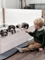 processed/4f24ab80-8a1a-4a92-9de7-4523c56622d8/listing/e3e965bb-5dba-40fa-83a6-10ad605ec86e/2bdae93c-1532-4af7-b267-16169f85cf8e