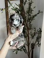 processed/4f24ab80-8a1a-4a92-9de7-4523c56622d8/listing/e3e965bb-5dba-40fa-83a6-10ad605ec86e/865717b7-4897-4d70-824f-6eaa73b6bdf5