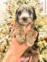 processed/4f24ab80-8a1a-4a92-9de7-4523c56622d8/listing/e3e965bb-5dba-40fa-83a6-10ad605ec86e/a9f5f4ee-c339-48c1-84ef-e16f10ee83a4