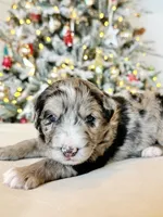 processed/4f24ab80-8a1a-4a92-9de7-4523c56622d8/listing/e3e965bb-5dba-40fa-83a6-10ad605ec86e/be9ba787-6575-46f3-85be-fdb18f89aac0