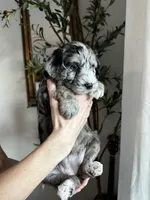 processed/4f24ab80-8a1a-4a92-9de7-4523c56622d8/listing/e3e965bb-5dba-40fa-83a6-10ad605ec86e/de580e99-5e1c-4f2b-95a3-8b9a7aea4cb1