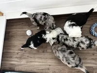 processed/4f24ab80-8a1a-4a92-9de7-4523c56622d8/listing/ec93425c-6a43-4948-bc45-31c614548ca7/0f71483a-ea74-47a4-a92d-266df226931d