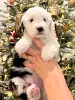 processed/4f24ab80-8a1a-4a92-9de7-4523c56622d8/listing/ec93425c-6a43-4948-bc45-31c614548ca7/47b6a06e-a03a-43bc-afb0-884e957d5940