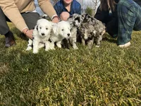 processed/4f24ab80-8a1a-4a92-9de7-4523c56622d8/listing/ec93425c-6a43-4948-bc45-31c614548ca7/4c1e50dd-a3ec-43ae-8abf-8e664a1fadcb