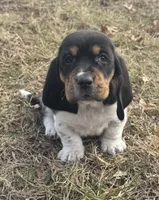 processed/4f3f3649-787c-4621-885f-509a52e8c465/listing/5ee590c9-b02e-49f0-ba0a-67e299fbecd3/129c5bbd-b9b6-435e-a18e-b7d981444613