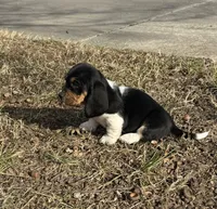 processed/4f3f3649-787c-4621-885f-509a52e8c465/listing/5ee590c9-b02e-49f0-ba0a-67e299fbecd3/15fb9f87-c971-4ed1-954d-035c5a1ec7f4