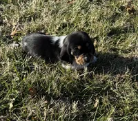 processed/4f3f3649-787c-4621-885f-509a52e8c465/listing/5ee590c9-b02e-49f0-ba0a-67e299fbecd3/1d2917dc-922a-4347-847b-5a835455e34e