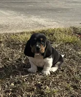 processed/4f3f3649-787c-4621-885f-509a52e8c465/listing/5ee590c9-b02e-49f0-ba0a-67e299fbecd3/21f0c8bb-c752-48c0-b8b3-5aca43cc8278