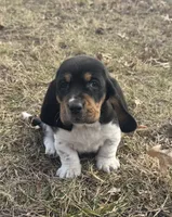 processed/4f3f3649-787c-4621-885f-509a52e8c465/listing/5ee590c9-b02e-49f0-ba0a-67e299fbecd3/82088805-cfcb-4d4c-939c-de0c72675bbf