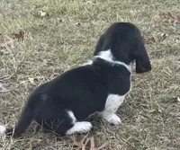 processed/4f3f3649-787c-4621-885f-509a52e8c465/listing/5ee590c9-b02e-49f0-ba0a-67e299fbecd3/e189dd44-ca35-4665-a22a-5fa079708f81