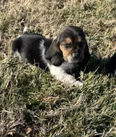 processed/4f3f3649-787c-4621-885f-509a52e8c465/listing/5f4e6ba1-04dd-433e-8f25-9fb4a97d1417/8eba667b-5b03-4295-a1ec-d8a77d0e6e1d