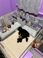 processed/4f420bed-fed3-4eed-ba51-24c26d6101f9/facility/66465609-f0a3-4291-b69b-8f187a57277e