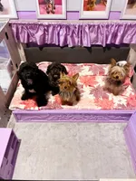 processed/4f420bed-fed3-4eed-ba51-24c26d6101f9/facility/84443c0b-bddd-4188-84d2-e6e54bce5b4f