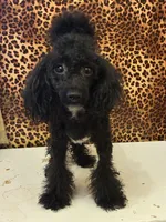 processed/4f420bed-fed3-4eed-ba51-24c26d6101f9/facility/ca06a3e3-686f-4877-a7fc-a28a8e19a496