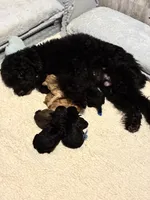 processed/4f420bed-fed3-4eed-ba51-24c26d6101f9/facility/cd58e51c-6beb-4b93-b86e-74cf5fcc44fc