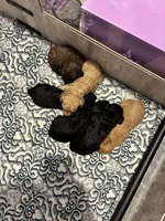 processed/4f420bed-fed3-4eed-ba51-24c26d6101f9/facility/fd09501d-2c66-4061-a957-5c6eb5c6b546