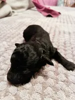 processed/4f420bed-fed3-4eed-ba51-24c26d6101f9/listing/14352c80-6d9d-4ecf-ac08-959f346fc223/2bf36a70-a185-4b6b-a7e8-8554f9ecd3d6