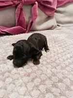 processed/4f420bed-fed3-4eed-ba51-24c26d6101f9/listing/14352c80-6d9d-4ecf-ac08-959f346fc223/8f176e26-26a7-46b7-bd60-d0f0bf2ab447