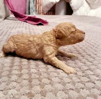 processed/4f420bed-fed3-4eed-ba51-24c26d6101f9/listing/164c2bb1-0e35-43e7-8c57-9b2124393b28/32dd9075-ba9e-41c2-b58f-16bcad8dc4f5