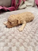 processed/4f420bed-fed3-4eed-ba51-24c26d6101f9/listing/164c2bb1-0e35-43e7-8c57-9b2124393b28/3811bd06-bfa7-436f-b868-942cc9938a04