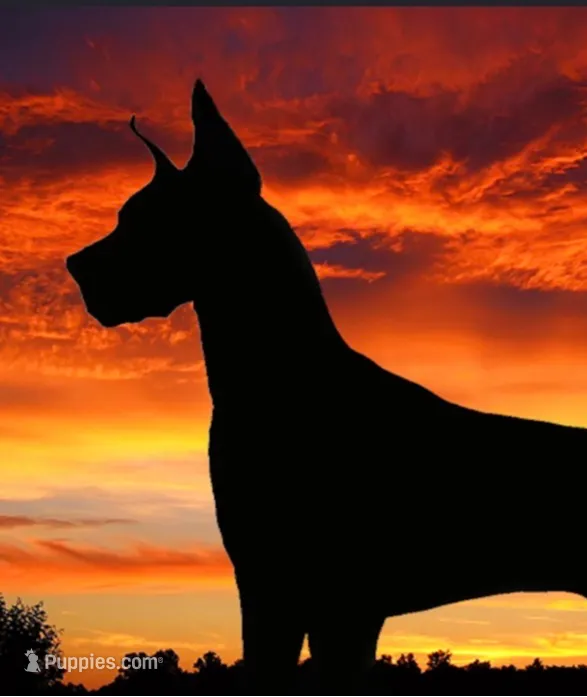 processed/4f4eb68a-5b49-4769-8d73-2b35883e9bd1/facility/0eb431c4-eed1-49a7-b058-9a28459250a3