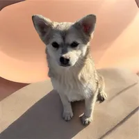 processed/4f74d9ce-3755-424f-8eb4-432cab3c4c30/listing/76ba806b-7898-41a4-bdc5-af90f033c651/435426dc-dce0-433e-b691-9291cba636f7