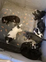 processed/4f790654-ebe6-4a33-9dd7-323fa6f4beb6/facility/9ce775cc-a0ae-4e04-8171-d99c2aa260da