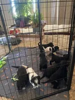 processed/4f790654-ebe6-4a33-9dd7-323fa6f4beb6/facility/f10f72cd-495e-4309-84e0-5bd5c6be326d