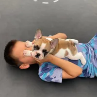 processed/4f81c956-854c-442d-8d31-46447922b234/facility/27ec6e2b-7318-49af-a047-131f426cf818