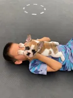 processed/4f81c956-854c-442d-8d31-46447922b234/facility/27ec6e2b-7318-49af-a047-131f426cf818