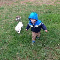 processed/4f81c956-854c-442d-8d31-46447922b234/facility/a3e5ad1a-8036-4feb-85c3-88bfe7b1e893