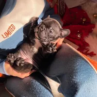 processed/4f81c956-854c-442d-8d31-46447922b234/facility/ae8375a8-24bd-4b4c-a915-f676c66f57cf