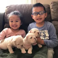 processed/4f81c956-854c-442d-8d31-46447922b234/facility/c4dc8c25-ec30-478b-9467-c45d89aacd3d