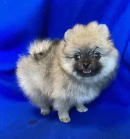 processed/4f8737f7-0e8c-4586-b317-c8eaac1302cb/listing/22f2f43b-caa0-4828-900d-dd9da5984384/7db6e700-e1f5-4161-9c09-14c5c59ac7f5