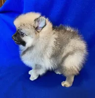 processed/4f8737f7-0e8c-4586-b317-c8eaac1302cb/listing/22f2f43b-caa0-4828-900d-dd9da5984384/93ac4238-16f9-42e2-a241-8b376d25117e